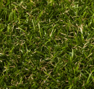 Mona Verdite Monobacking